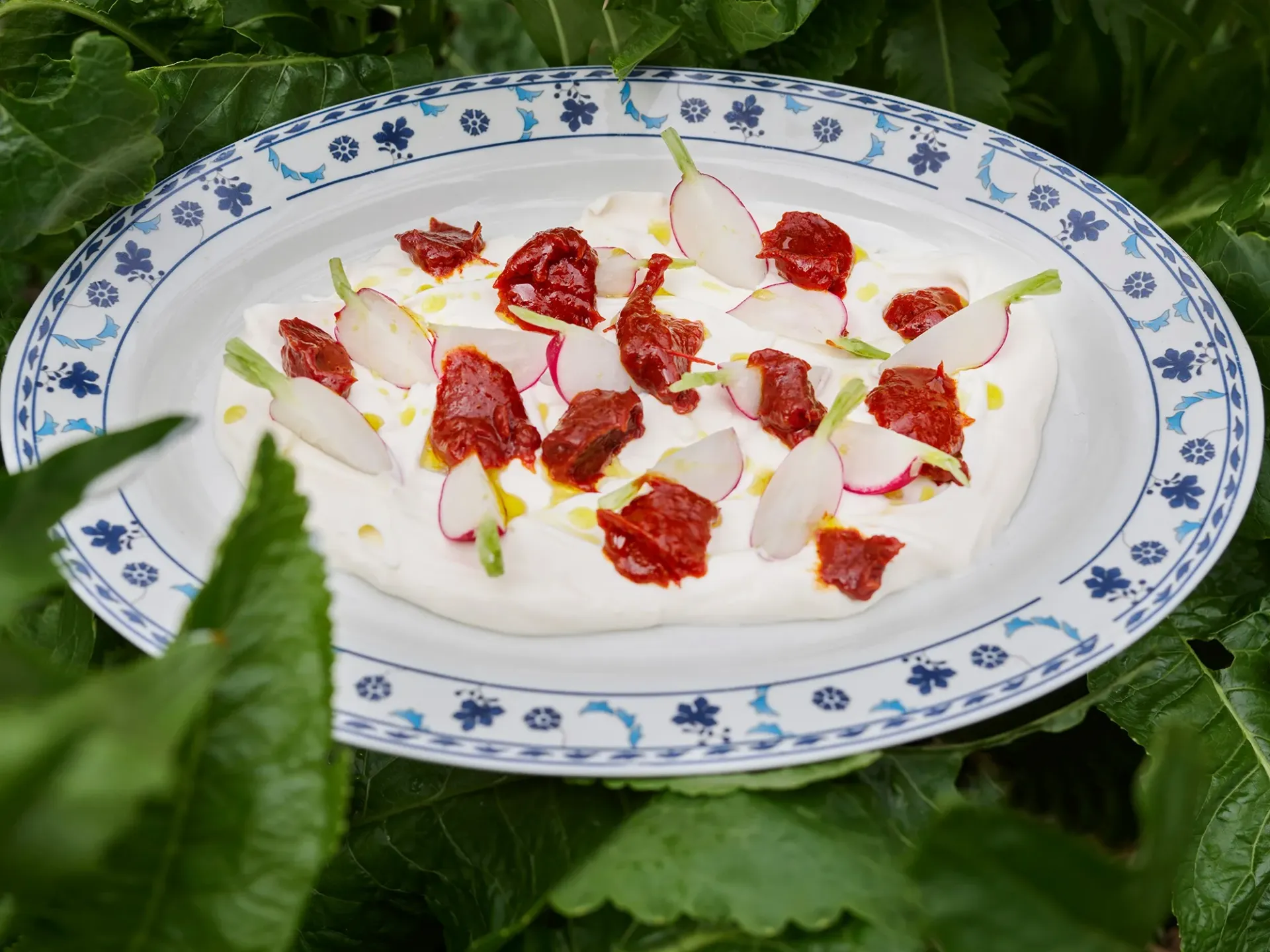 Ein Berner Geheimtipp mit Garten und Haltung: Das Darling