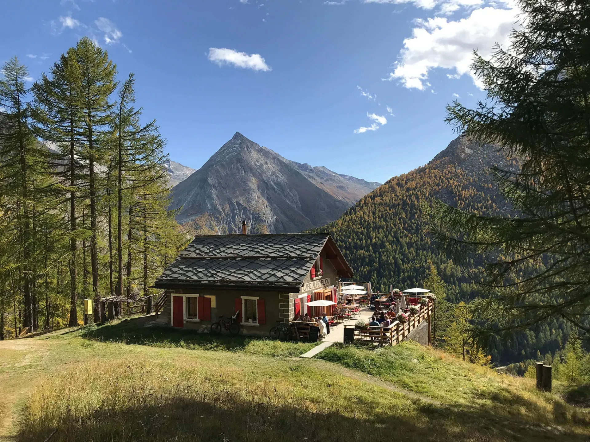 Wo der Berg zum Teller wird: Das Alpenblick in Saas-Fee