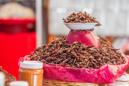 Ein kulinarisch ansprechendes Gericht mit essbaren Insekten, angerichtet auf einem rustikalen Holzteller in einer modernen Schweizer Restaurantküche.