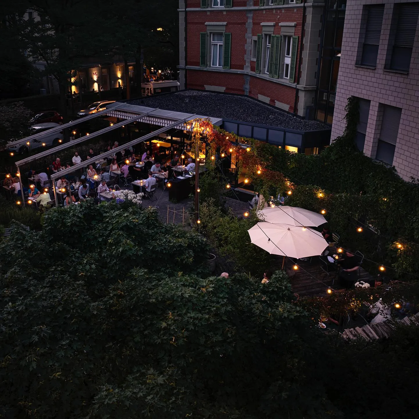 Aerial evening view of Darling's lush garden terrace glowing with string lights and full of diners — perfectly captures the restaurant's magical outdoor atmosphere.