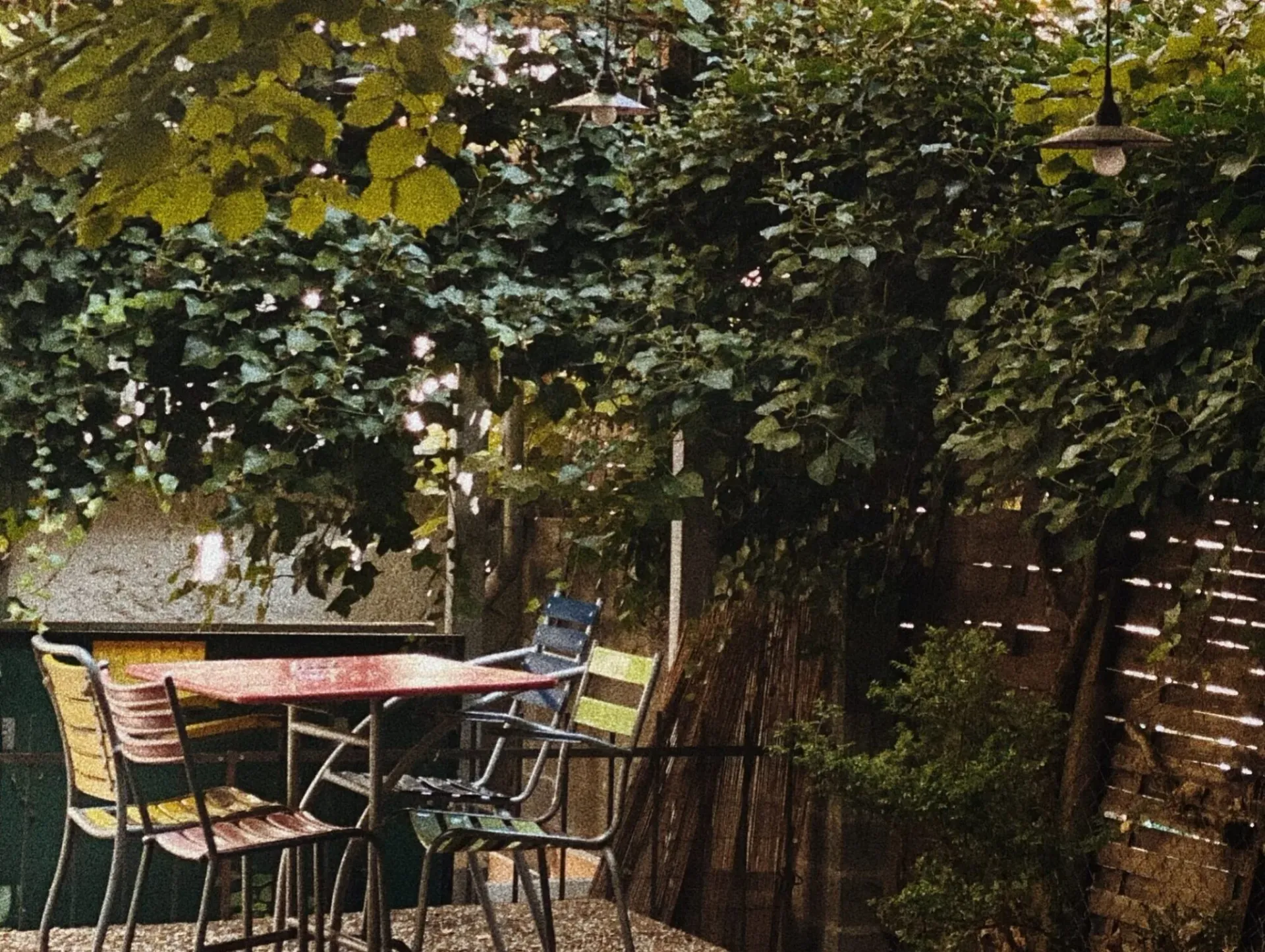 Lush ivy-covered outdoor terrace with colourful café chairs and pendant lamps on a sunny day.