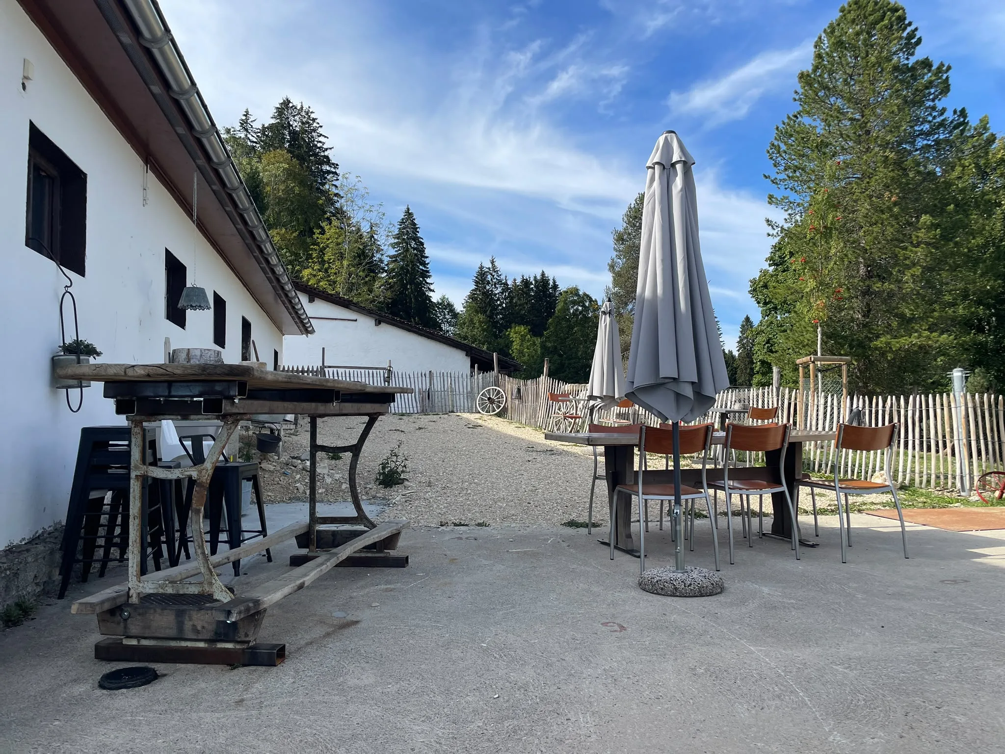 Spacious gravel terrace with rustic iron tables, umbrella, and wooden fencing amid tall pine trees.