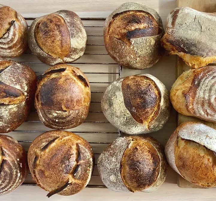 Frisch gebackene Sauerteigbrote der Sour Bros. in Sattel, präsentiert von Adam Lidgate in der Bäckerei.